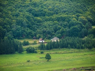 Hungarian landscape