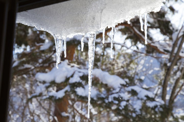 Icicles under the eaves