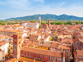 Naklejka premium Lucca summer skyline with St Martin Cathedral and bell towers, Tuscany, Italy.