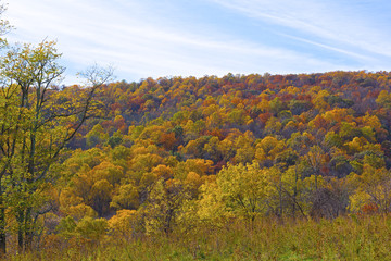 Fototapeta premium Foothills with forest in autumn colors. Deciduous forest in late autumn.
