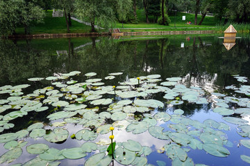Leontyevsky park