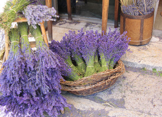 Lavendel Verkauf