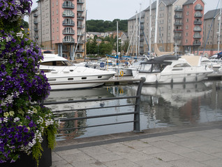 marina in summer