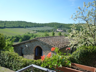 Rural landscape