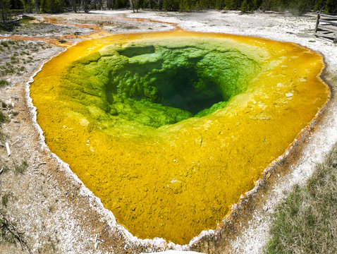Geyser in Yellowstone National Park in Wyoming