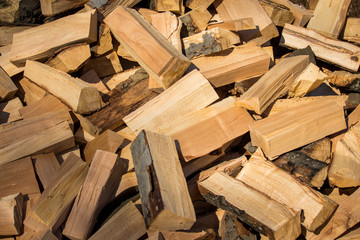 Umgefallener Holzscheit In Der Sonne Holzfäller Im Wald