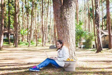 Young Beautiful Business Woman Sitting and Working with Laptop and wear the Long Coat Jacket in cold weather at the Pine Forest