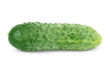 Green, fresh cucumber, isolated on white background