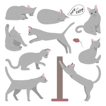 Cute Cartoon Grey Cat In Different Poses.