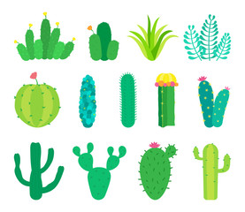 Vector set of cactuses and succulents