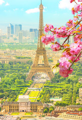 Obrazy na Szkle  Oddział kwiat wiśni na pierwszym planie i panoramę miasta Paryż z wieży Eiffla na tle. Sezonowe malownicze tło. Malownicza tapeta z wieżą Eiffla. Ujęcie pionowe.