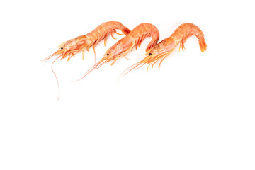 Overhead photo of three raw shrimps on white, with copy space