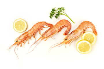 Overhead photo of three raw shrimps on white, with parsley and lemon slices, with copy space