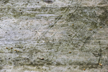 texture of old wood with cracks and fibers close-up of various color shades