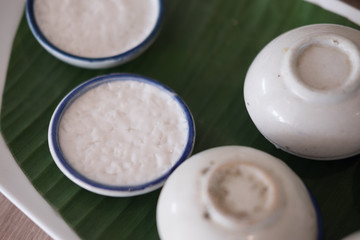 Coconut milk custard in mini cup