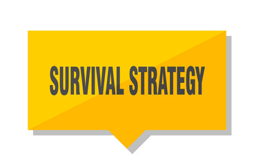 survival strategy price tag