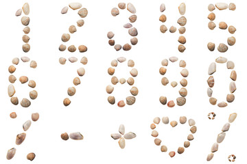 Figures made from seashells isolated on white background