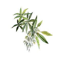 Decorative image of wildflowers.  Pattern lupine.