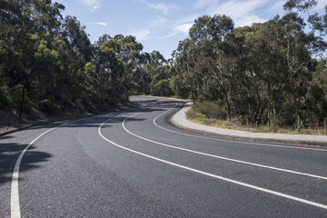 Empty Asphalt Road in Nature on a Bright Day