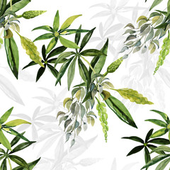 Fototapeta na wymiar Decorative image of wildflowers. Pattern lupine.