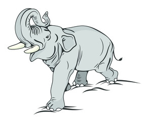 The image of a walking elephant in full growth