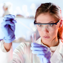 Life scientists researching in laboratory. Focused female life science professional pipetting...