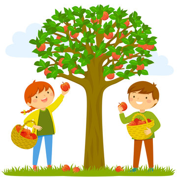 Two Kids Picking Apples From The Tree.