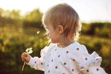 little happy girl in a field with a dandelion in hand