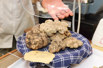 tartufi tuberi pregiati per la cucina