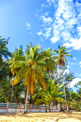 Fototapeta na wymiar tropical picturesquare landscape