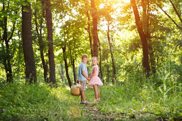 Naklejka na ściany i meble Two little children with a basket going to the picnic in the park. Happiness summer weekend concept. Children's friendship