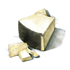 Pecorino cheese watercolor illustration on white background