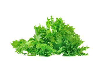 Fototapeta premium Fresh lettuce salad isolated on white background.