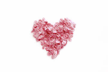 Heart shaped flowers isolated on a white bachground