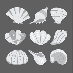 shell vector collection design