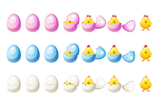 7 Steps animations different colors broken egg and chickens in vector