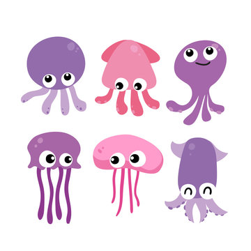 squid vector collection design