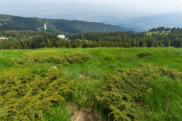 Amazing Landscape with green hills at Vitosha Mountain, Sofia City Region, Bulgaria