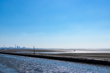 (千葉県ｰ湾岸風景)江川海岸の干潟風景４
