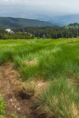 Amazing Landscape with green hills at Vitosha Mountain, Sofia City Region, Bulgaria