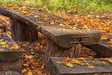 ld wooden bench covered with leaves