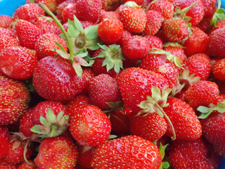 Home strawberry. Background.