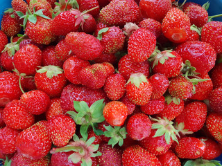 Home strawberry. Background.