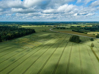 drone image. aerial view of rural area with green cultivated fields