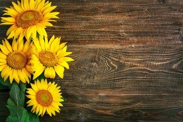 Beautiful sunflowers on a wooden table. View from above. Background with copy space.