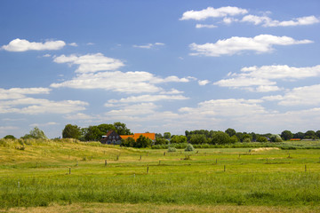 Obraz premium county landscape in the Netherlands