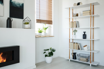 White bookcase, fireplace and window with plants set in a modern living room interior