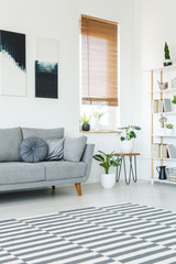 Side view of a striped rug in a bright living room interior with a window, couch, pillows, plants...