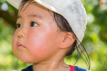 Fototapete bei efototapeten.de bestellen   