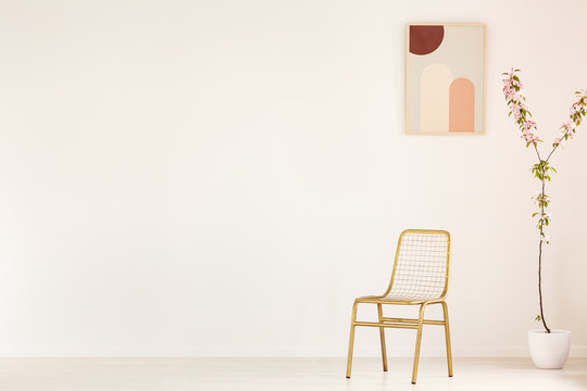 Plant next to gold chair in empty white interior with poster and copy space on the wall. Real photo. Place for your sofa